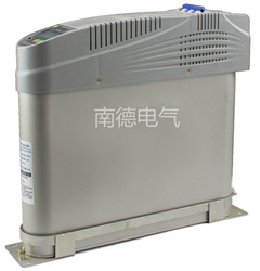 1.NAD-868系列低压智能电力电容器（常规型）_副本.jpg
